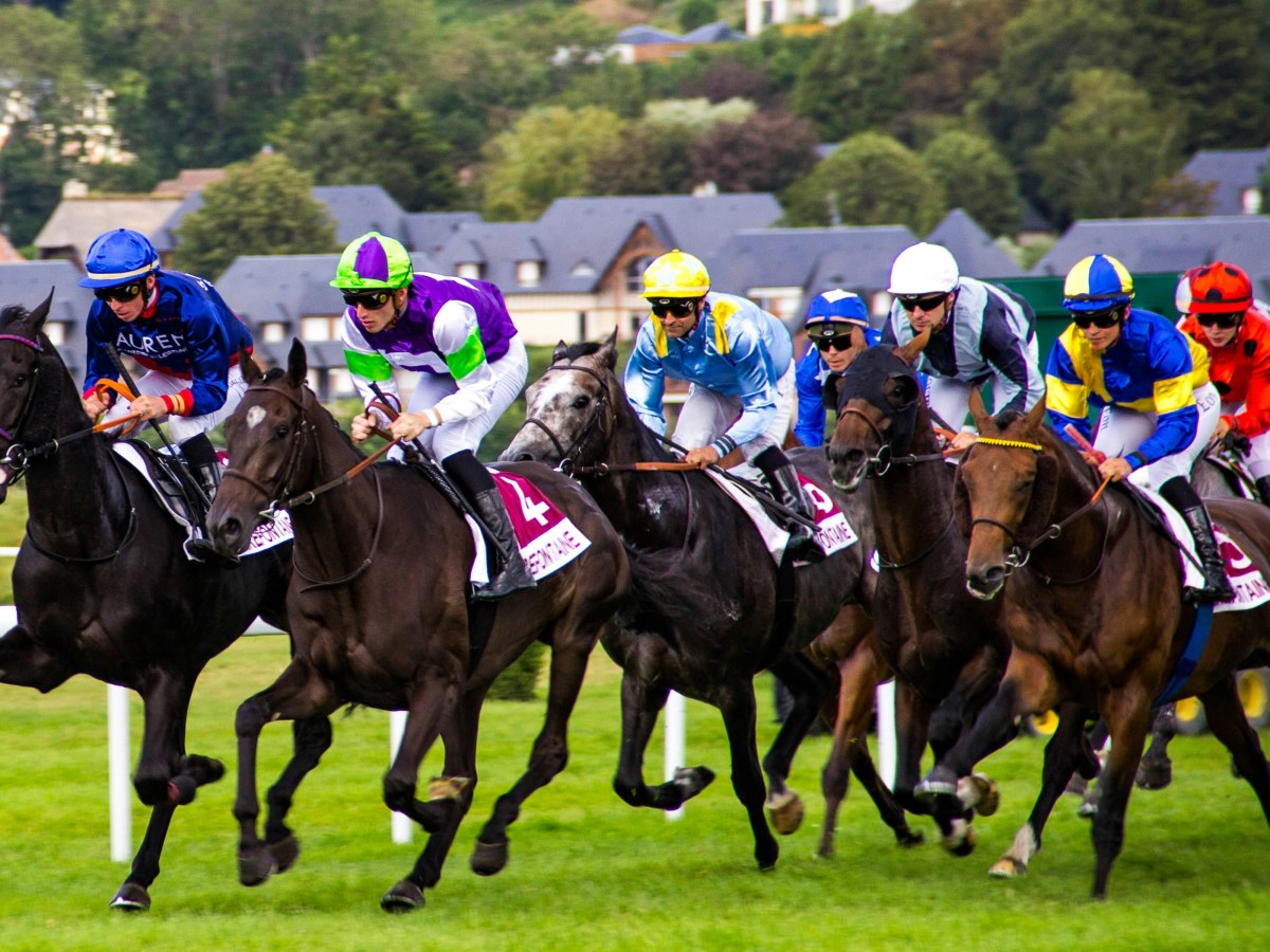 Saturday’s Selections from Haydock, the Curragh, Goodwood & York (25/05/24)