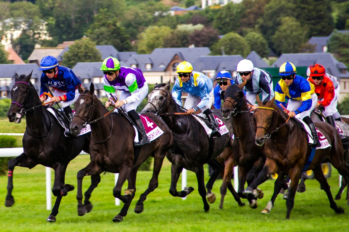 Saturday’s Selections from Haydock, the Curragh, Goodwood & York (25/05/24)