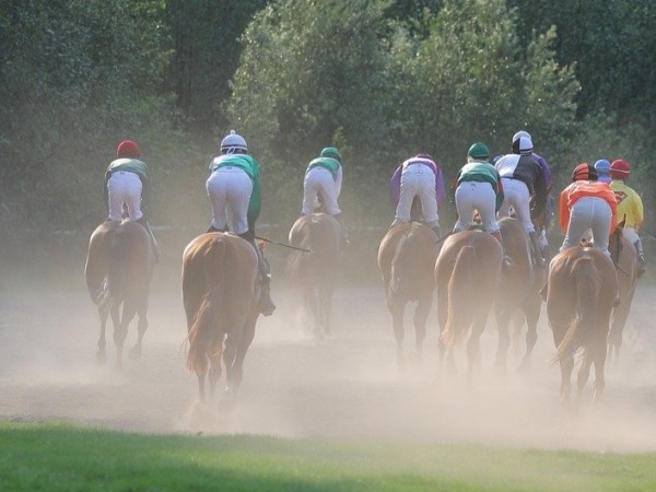 The Derby: Runner-by-runner guide