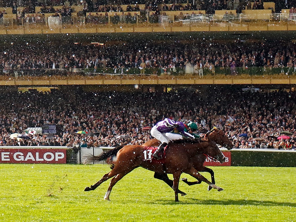 The Prix de l’Arc de Triomphe: Runner-by-runner guide